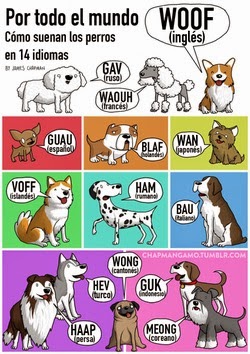 plato Drástico voz Es verdad que los perros 'hablan' en diferentes idiomas? | ESTRELLA CÁNTABRA